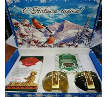 Подарочный набор новогодний «Куштанаш №2» с липовым и гречишным мёдом