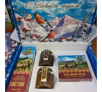 Подарочный набор новогодний «Алга Башкортостан» с медом