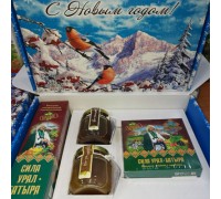 Подарочный набор новогодний «Сила Урал-Батыра» с медом