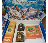Подарочный набор новогодний «Витаминный» с медом