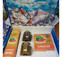 Подарочный набор новогодний «Витаминный» с медом