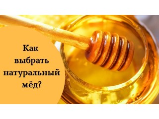 Как выбрать правильный хороший мёд